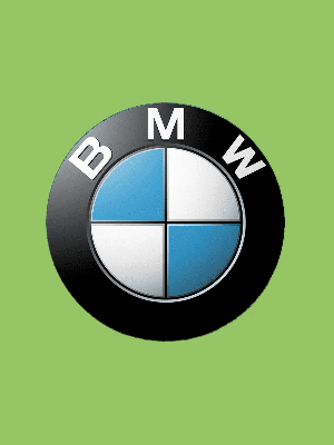 bmw laser data plate